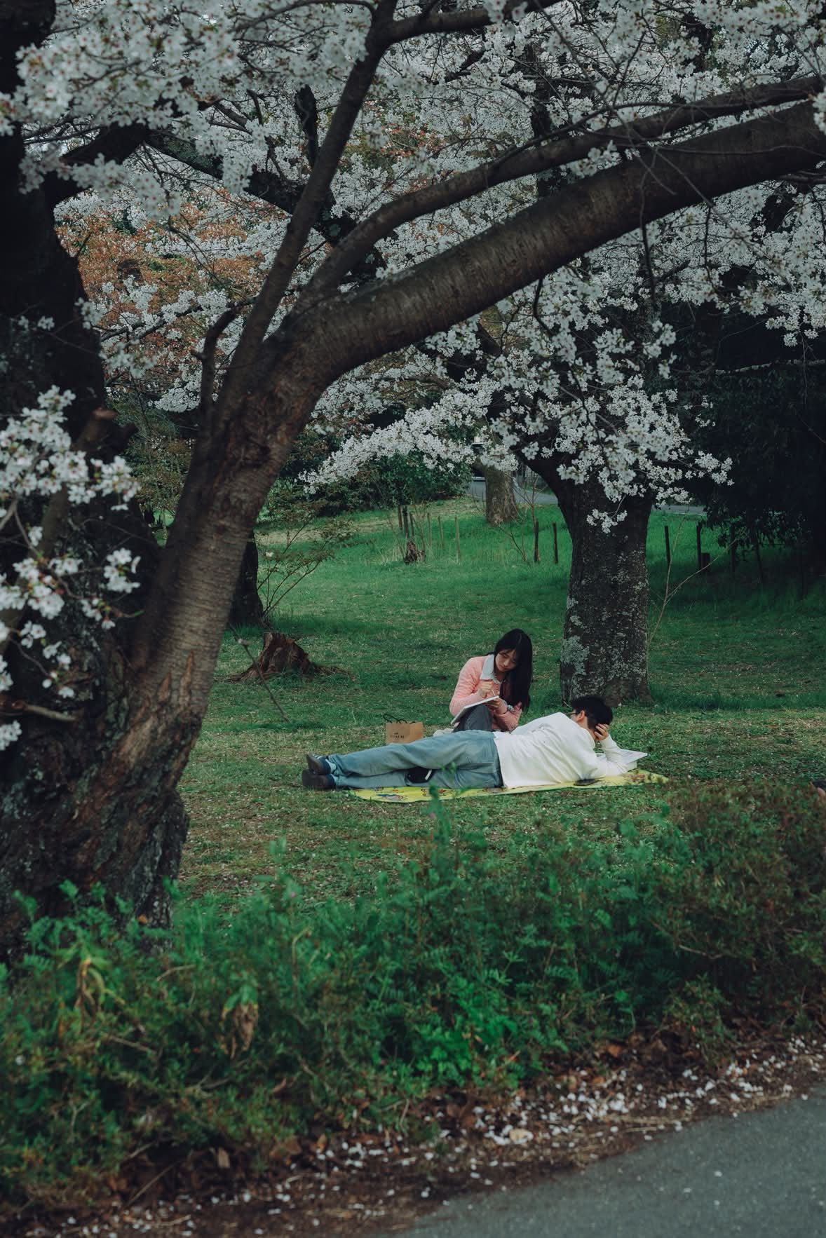 Under the cherry trees in April.